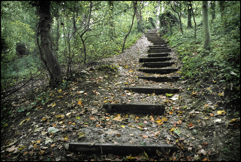 Saturday October 20th (2012) Steps up ... width=