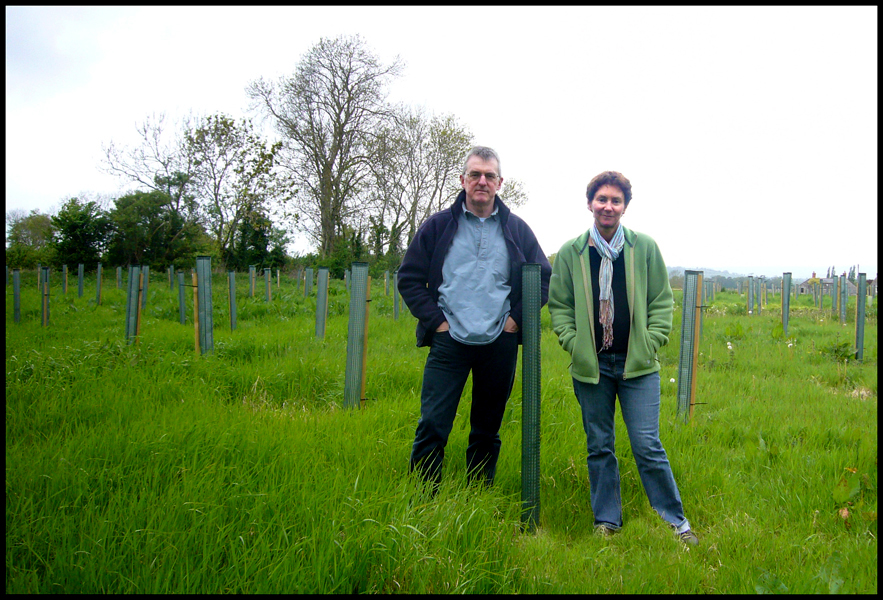 Tuesday May 5th (2009) Beech width=