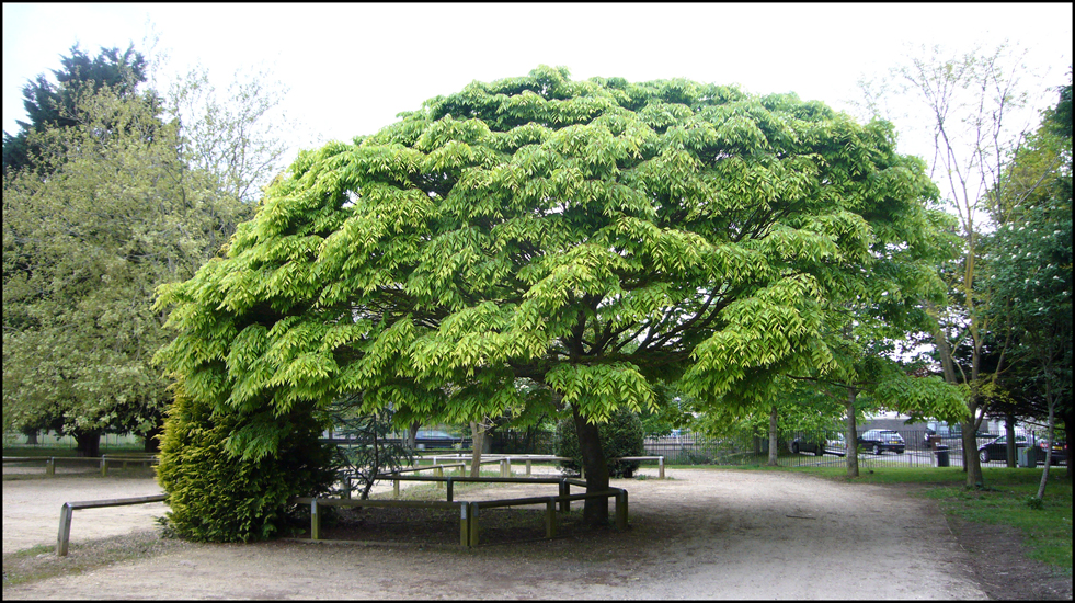 Saturday May 8th (2010) Car Park, Street. width=