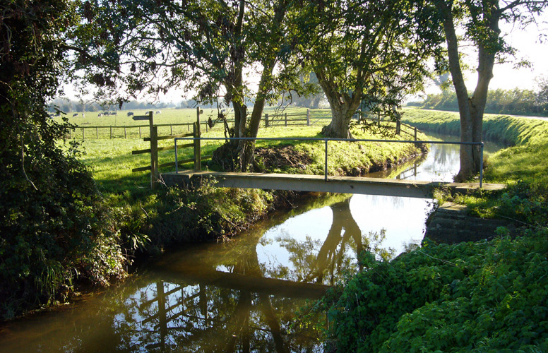 Sunday November 5th (2006) Footbridge width=