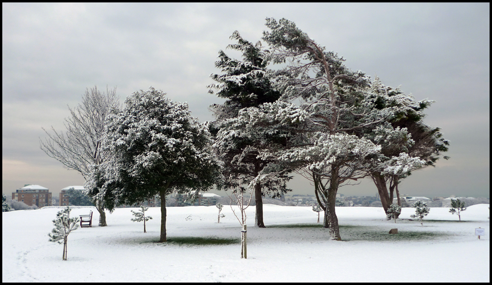 Saturday November 27th (2010) Royal Eastbourne Golf Course width=