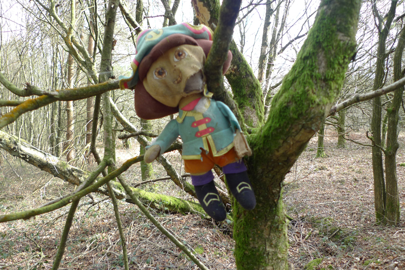 Thursday March 19th (2015) Lost in the woods width=