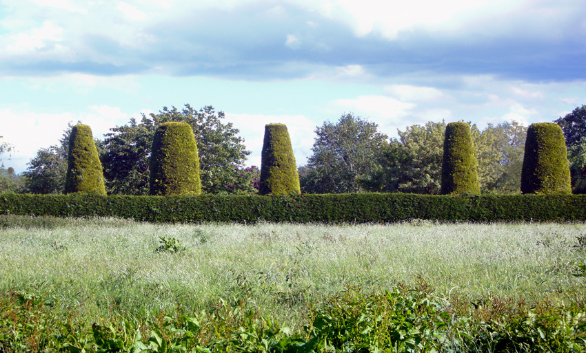 Friday May 25th (2007) Five Trees width=