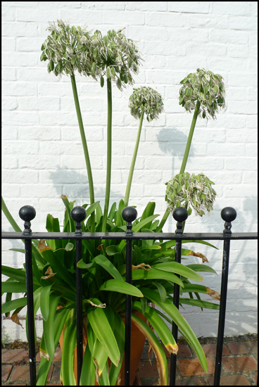 Friday August 31st (2012) Seaford width=