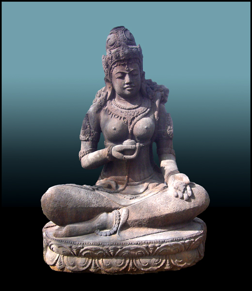 Thursday February 4th (2010) Tara width=