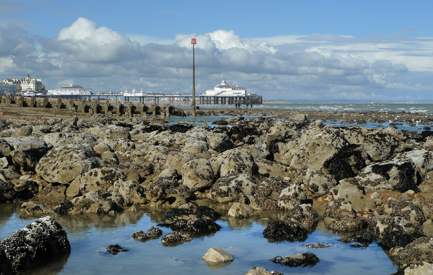 Monday April 28th (2014) Looking the other way. width=