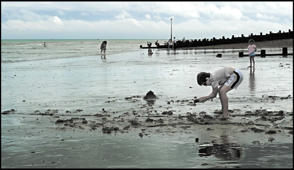 Monday August 15th (2011) Low Tide width=