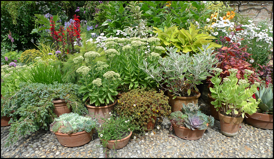 Monday August 13th (2012) Pots ... width=