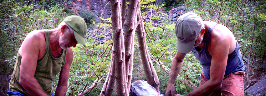 Monday July 3rd (2006) Climbing with Dave and Dave width=