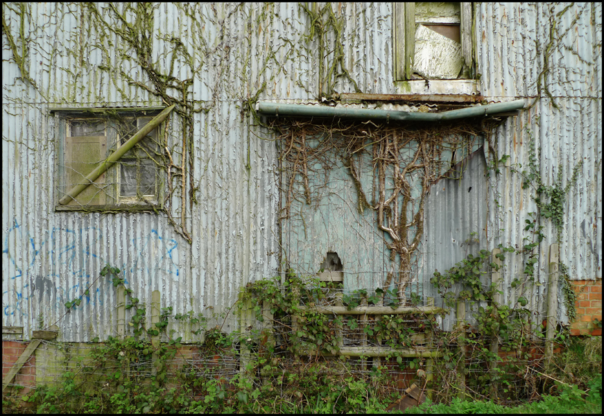 Thursday March 31st (2011) Ivy Covered Barn. width=