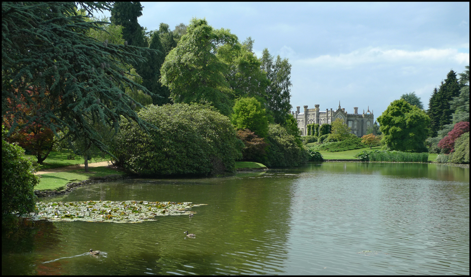 Sunday July 17th (2011) Pond width=