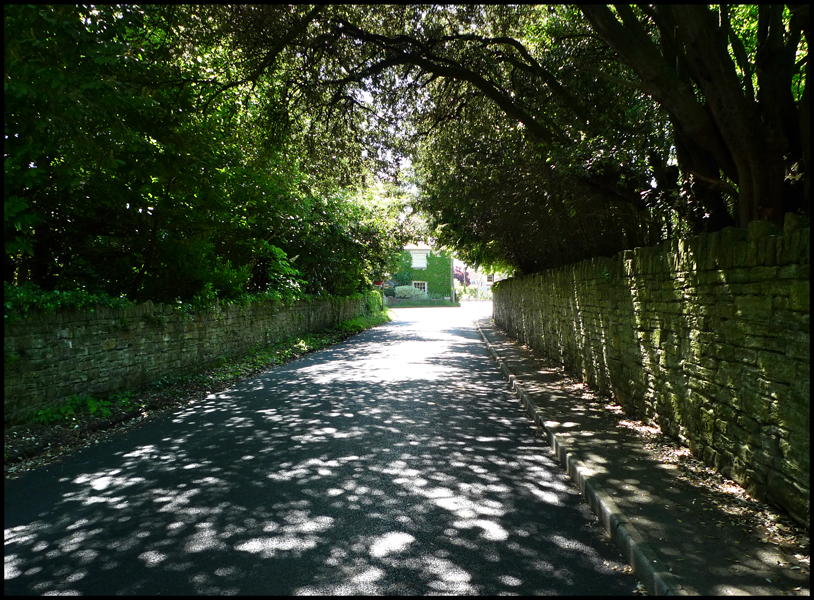 Friday May 21st (2010) Dappled Light, High Street, Butleigh width=