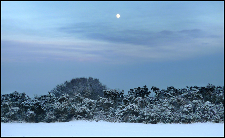 Saturday December 18th (2010) The Moon... width=