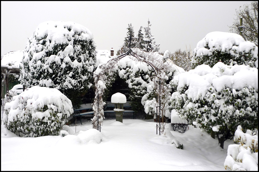 Thursday December 2nd (2010) More snow overnight. width=