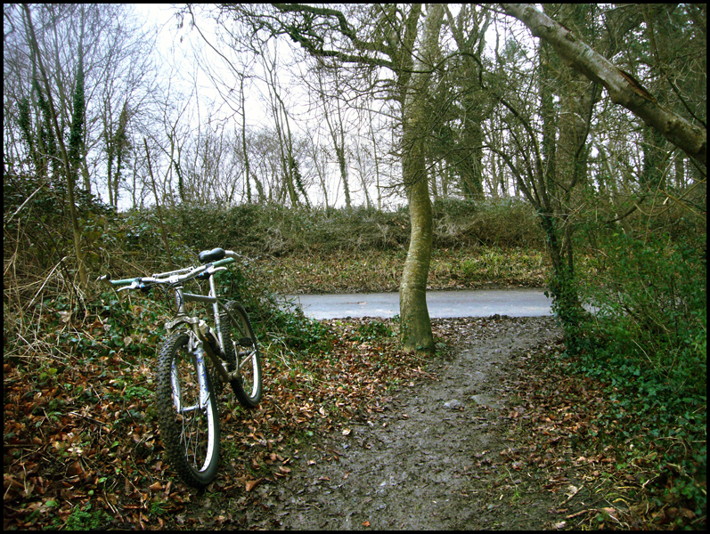 Monday February 15th (2010) I'm on the Marin today. width=