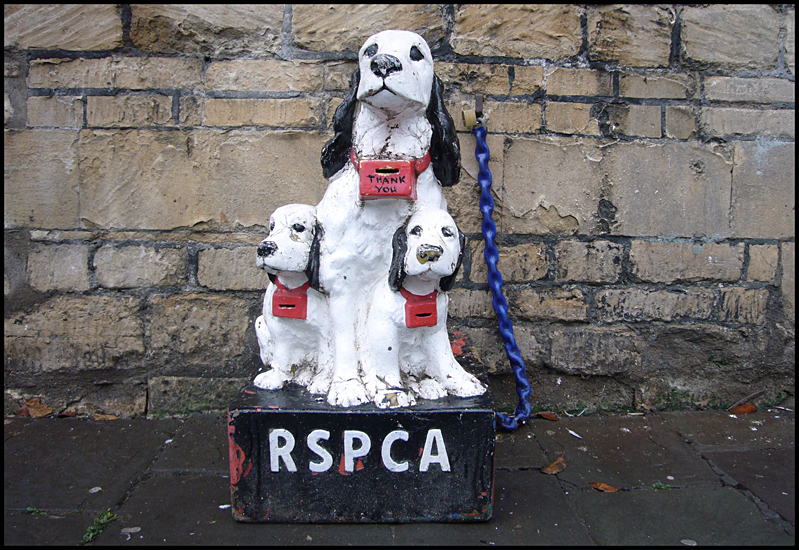 Monday December 28th (2009) Remember.... width=