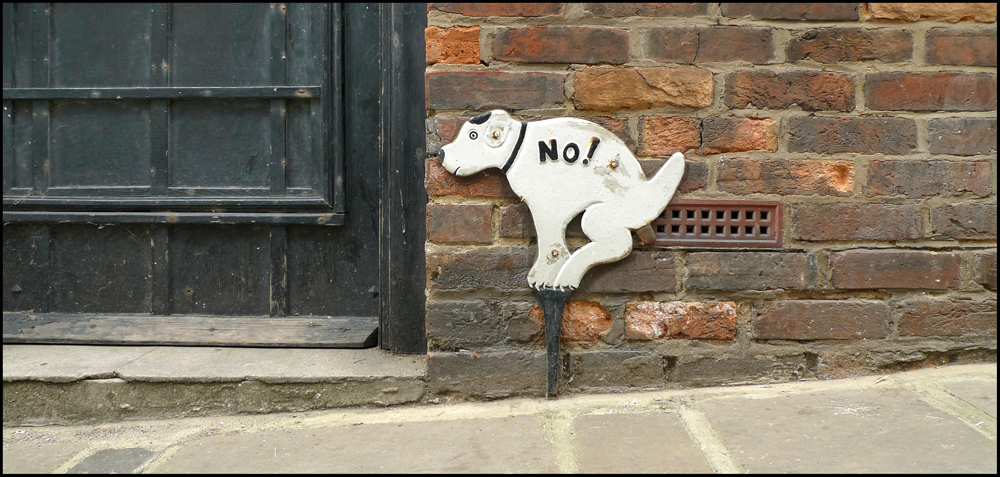 Tuesday June 11th (2013) No! width=