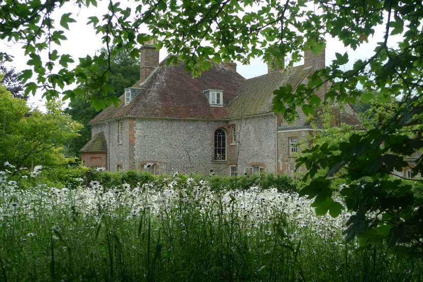 Sunday June 15th (2014) Daisy field width=