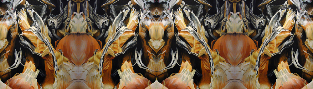 Wednesday November 14th (2007) Onions width=