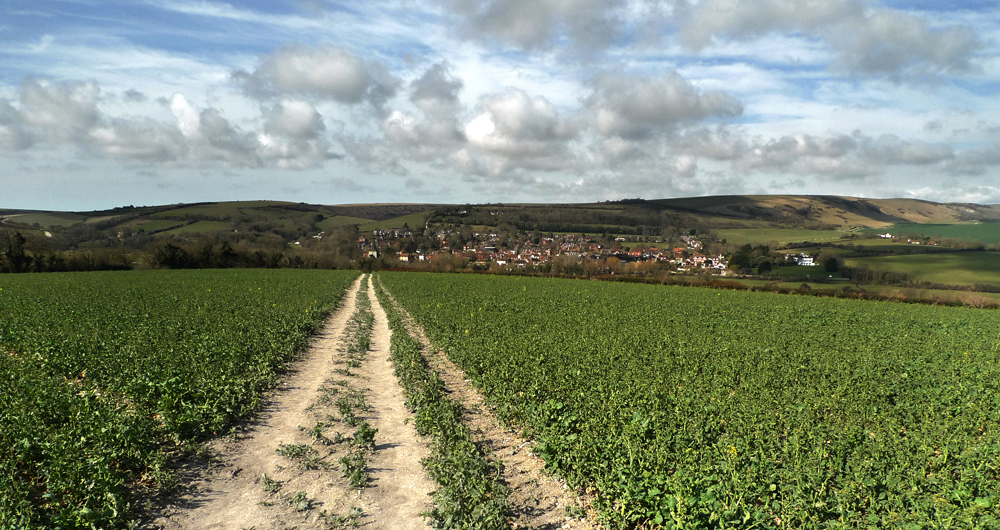 Friday April 1st (2016) Path from Alfreston width=