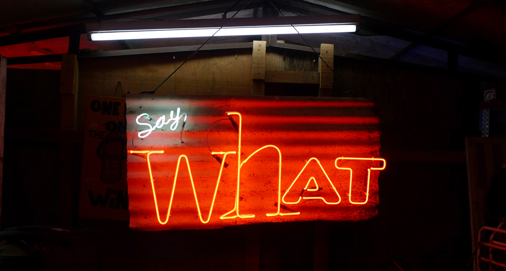 Sunday April 16th (2017) Say What width=