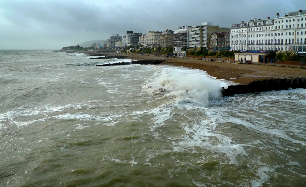 Sunday November 1st (2020) A bit wild and woolly today. width=