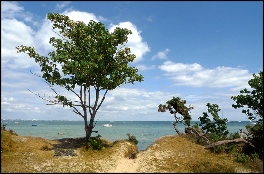 Sunday August 1st (2010) Studland View width=