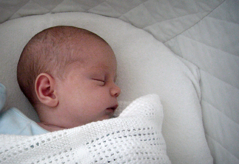 Wednesday April 30th (2008) Albert width=