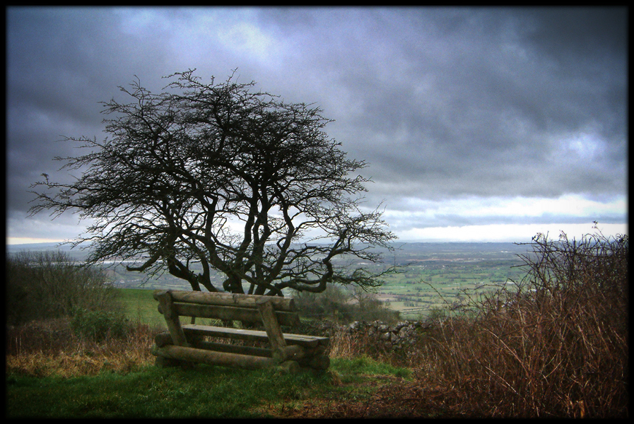 Saturday January 19th (2008) Deerleap width=