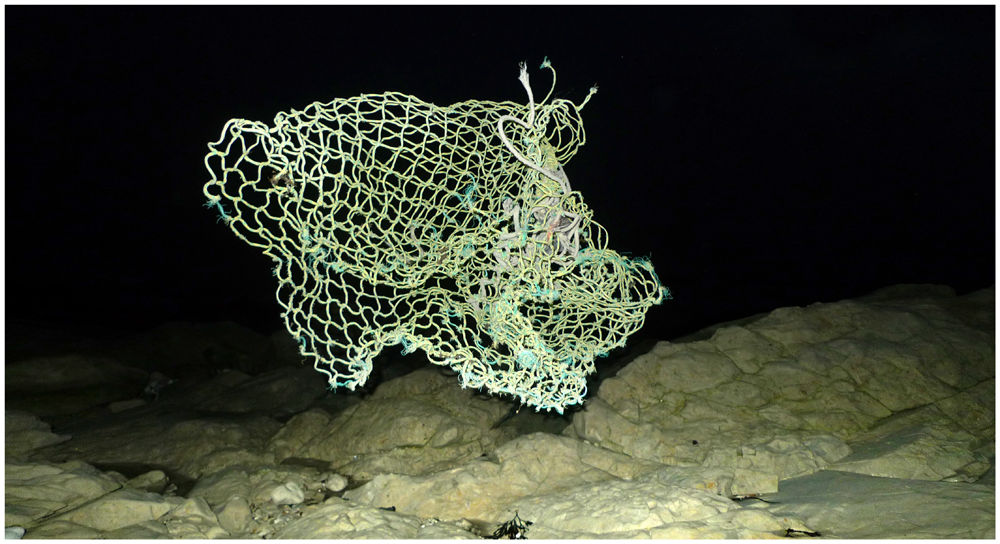 Sunday November 10th (2013) Caught in a Flash width=