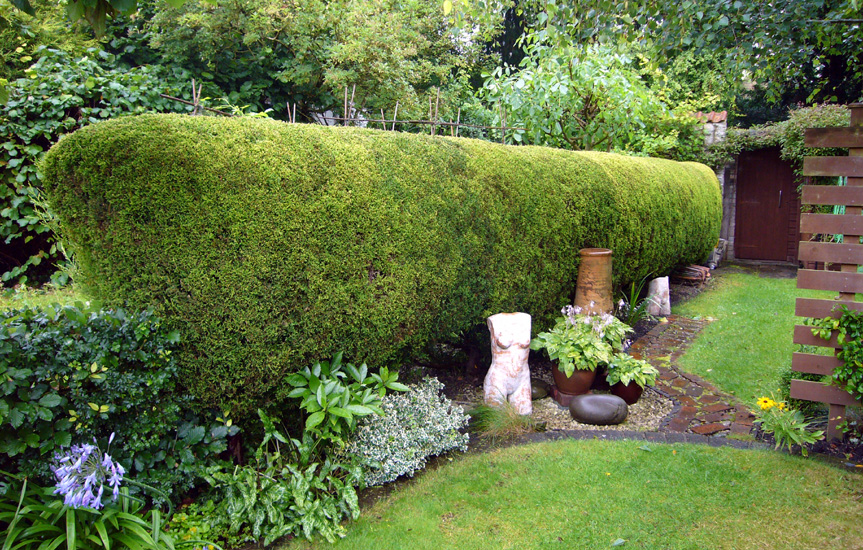 Friday July 13th (2007) Hedge width=