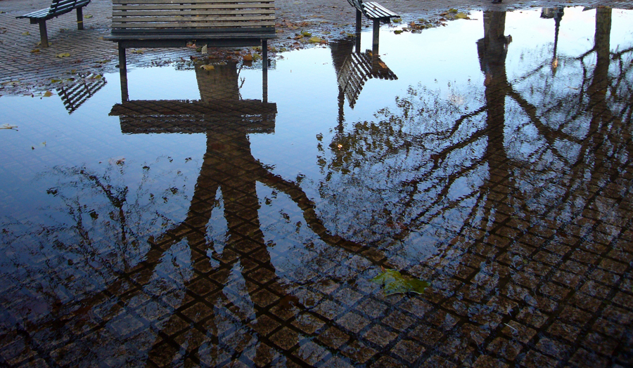 Saturday November 24th (2007) Benches width=