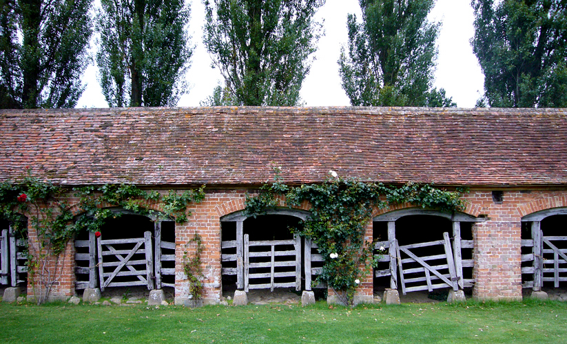 Wednesday August 30th (2006) Stables ? width=