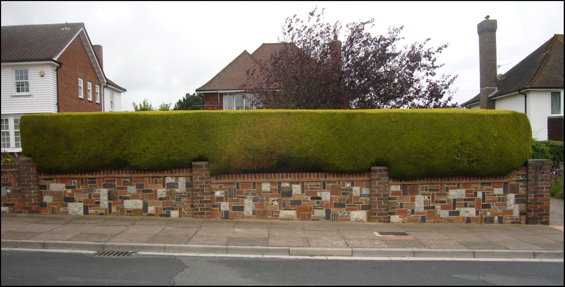 Sunday August 7th (2011) Neat hedge on a neat wall. width=