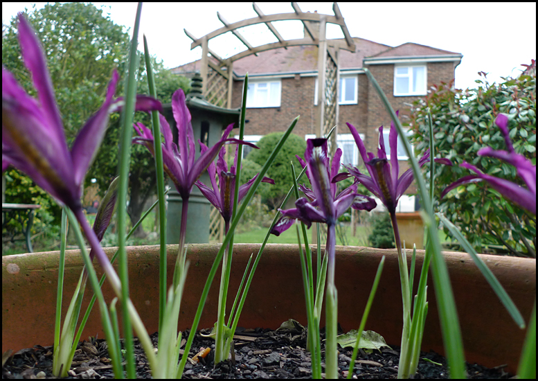 Tuesday February 5th (2013) Spring is on the way ... width=