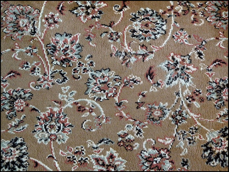 Saturday February 18th (2012) Old Carpet width=