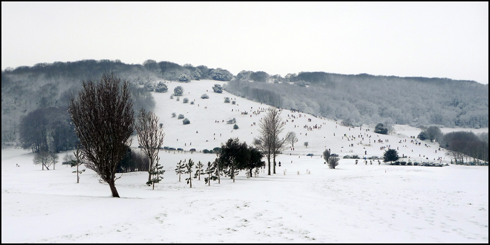 Sunday February 5th (2012) Snow width=