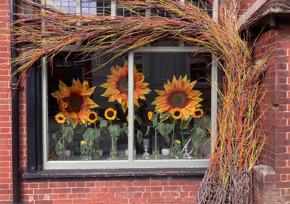 Friday August 4th (2023) Sunflowers width=