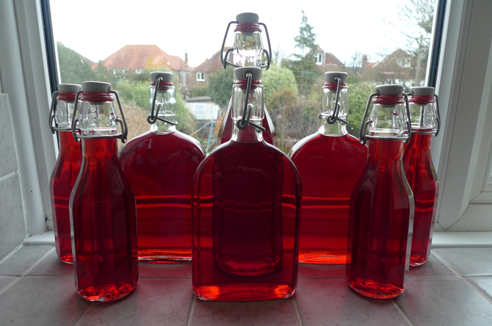 Thursday March 4th (2021) 2020 was a good year for sloes .... width=