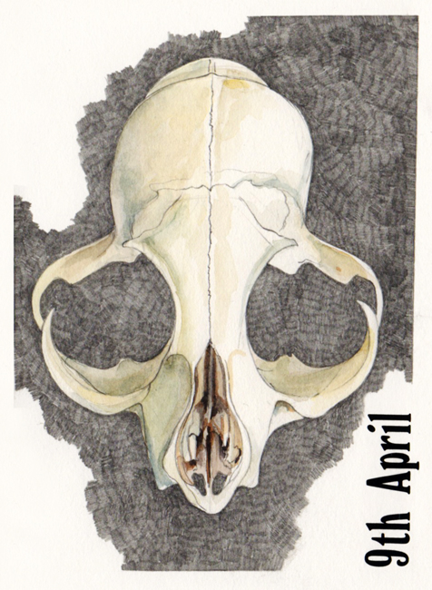 Friday April 10th (2020) Yesterday's skull width=