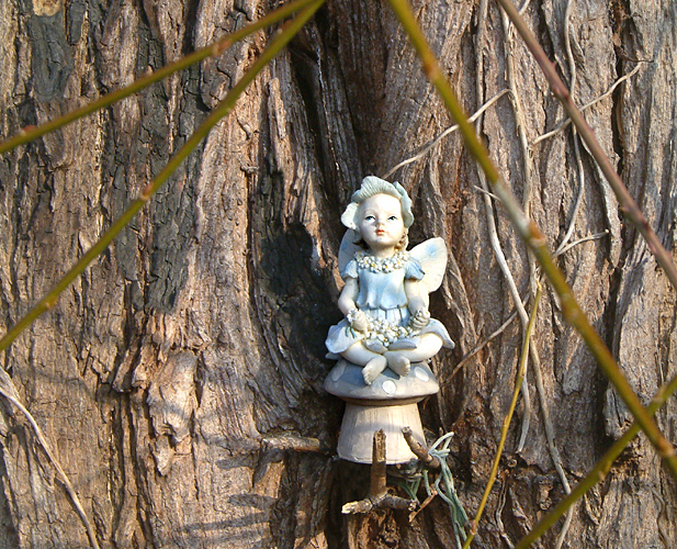 Saturday February 25th (2006) Fairy in a Tree width=