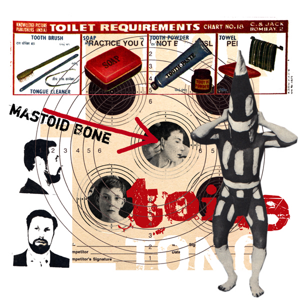 Sunday January 22nd (2006) Mastoid Bone width=