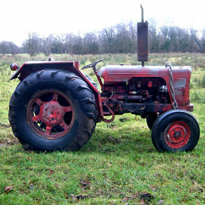 Tuesday January 3rd (2006) Red & Green width=