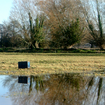 Sunday January 8th (2006) Shapwick Heath width=