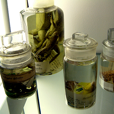 Friday January 20th (2006) Lesson Observation width=