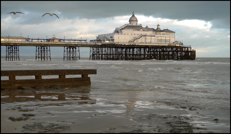 Monday January 23rd (2012) Two birds and the pier again. width=