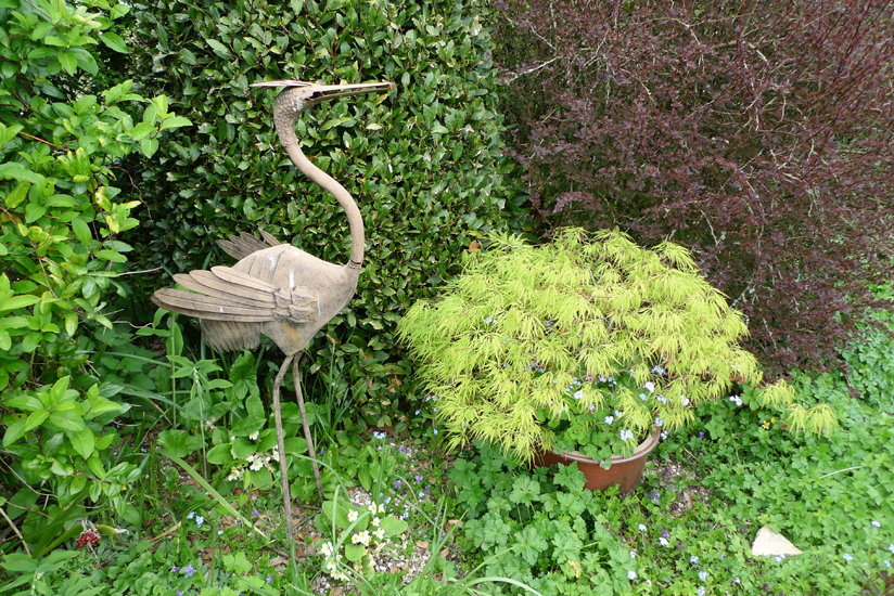 Saturday April 12th (2014) Stork and Acer. width=
