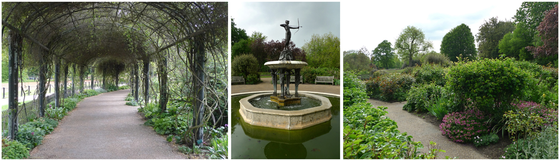 Wednesday May 15th (2013) The Rose Garden width=