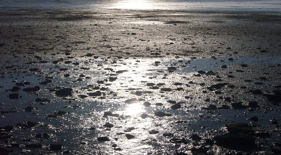 Friday February 15th (2008) The Fleet width=