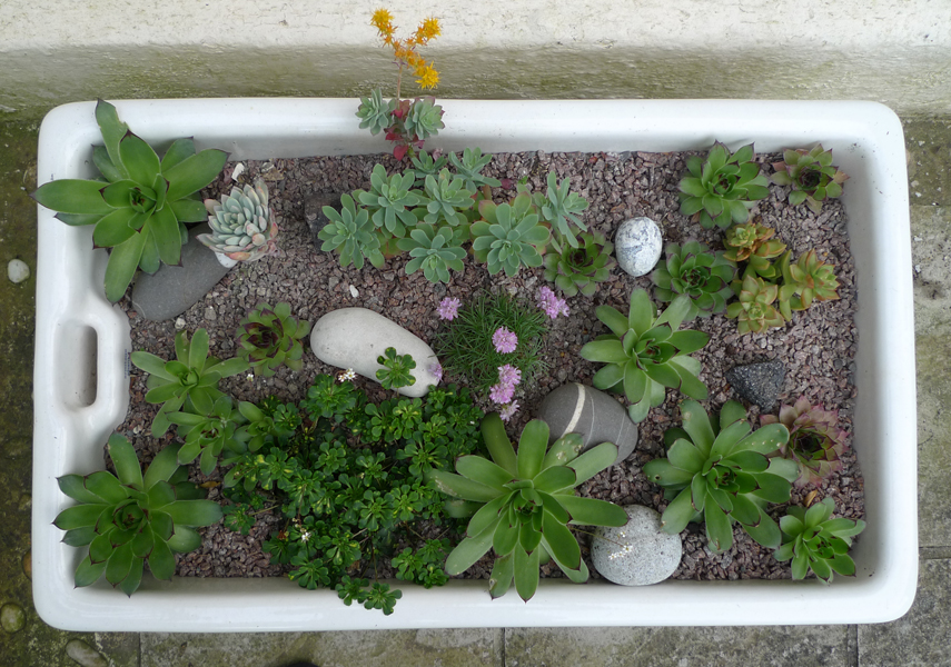 Tuesday May 19th (2015) Its coming on ... width=